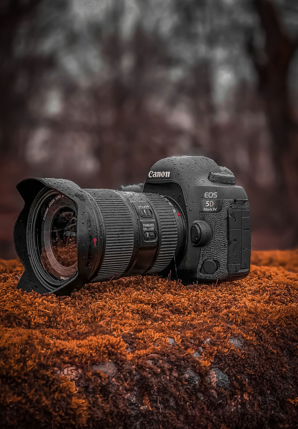 Canon 5D