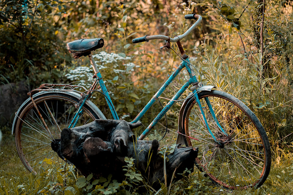 Das alte Fahrrad