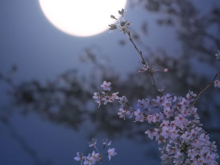 Xin chào, tớ là Minh Nguyệt
