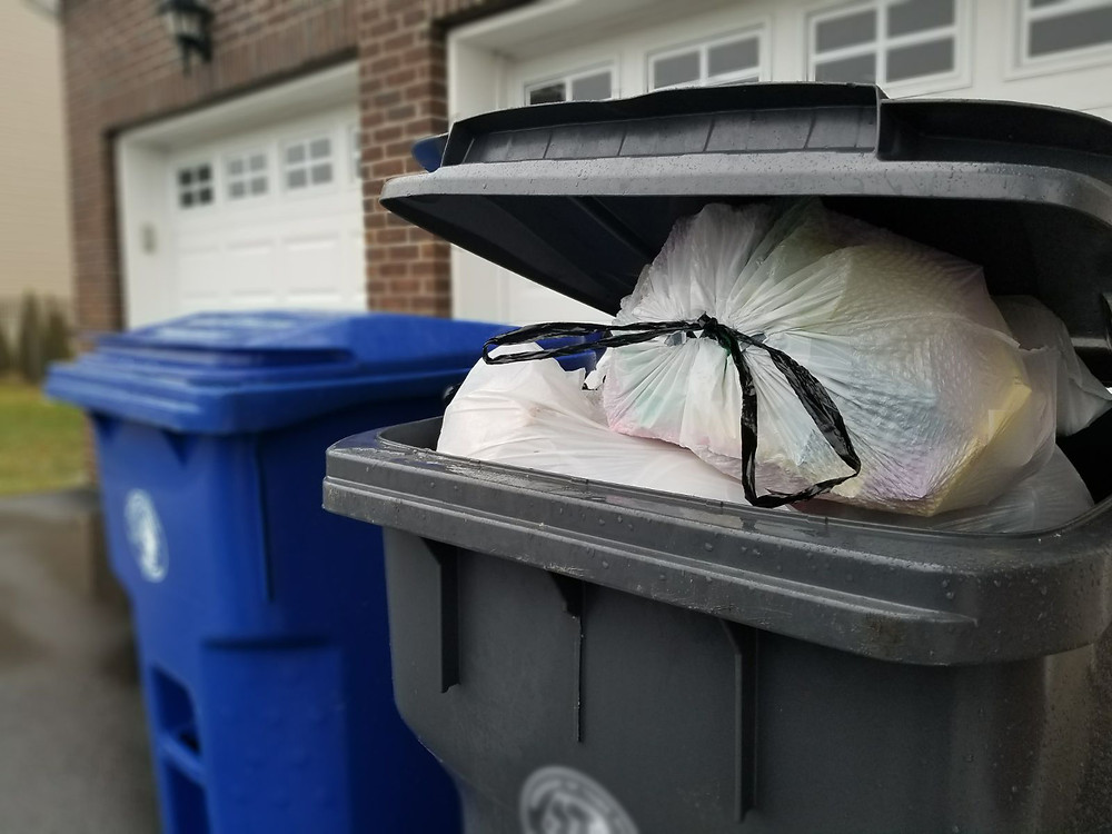 Trash Bin Cleaning near me how to clean dirty garbage can rockland county NY garbage can cleaning Mr. Can trash can cleaning New York New Jersey