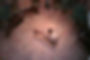 IMG_0606.jpeg