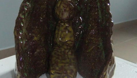 DSCF7253.JPG
