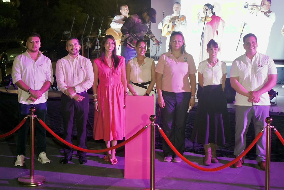 iluminación rosa del Palacio Municipal
