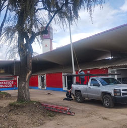 Entra Gobierno municipal al rescate del Mercado Juárez para acabar con plagas y mantener arbolado: Ricardo Moreno