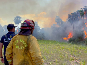 Más de 150 elementos trabajan para contener incendio forestal y proteger viviendas en Santa Rosa