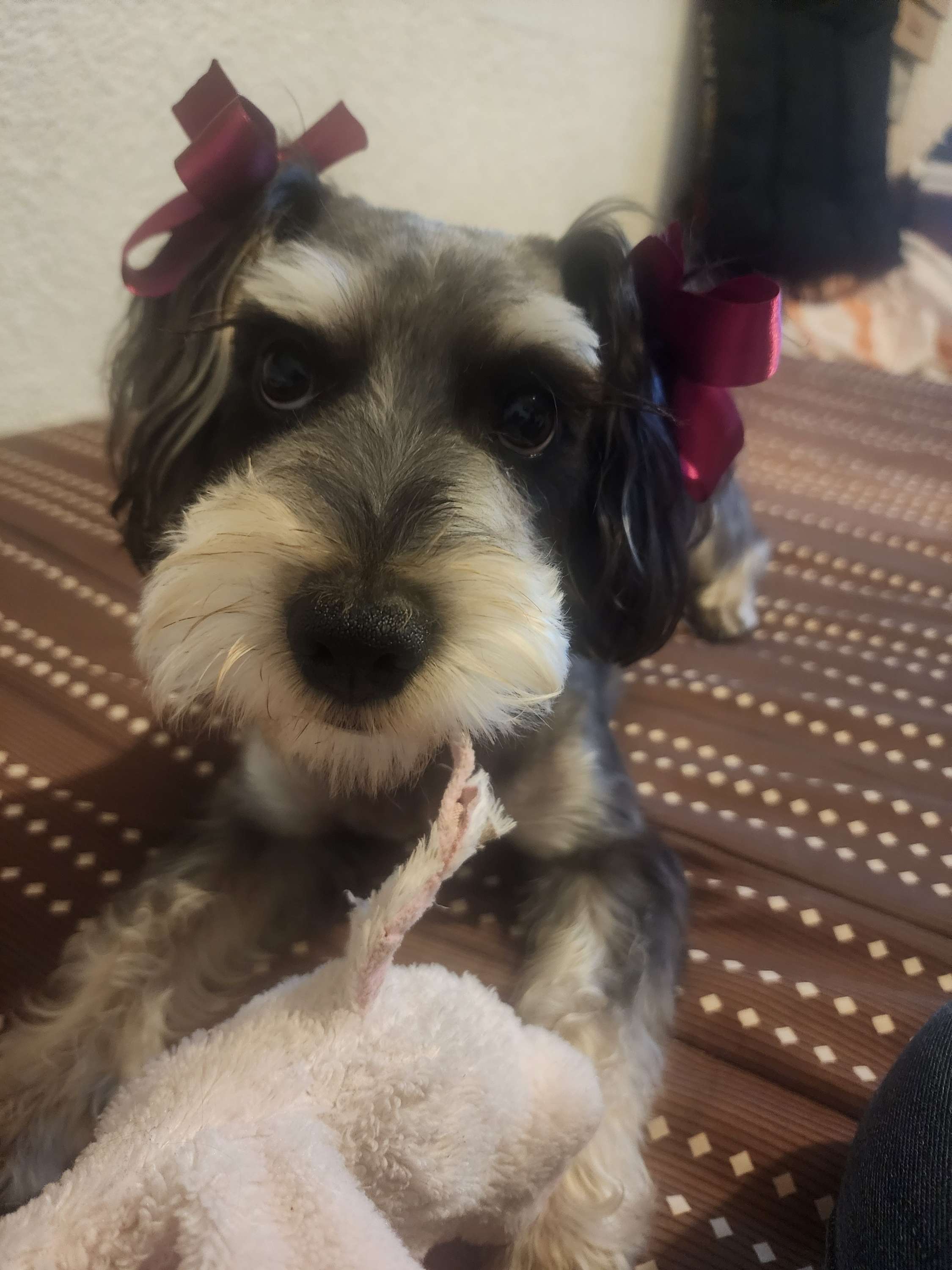 Foto del escritor: Papo