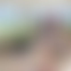 Reactivan en Cabo San Lucas el “Bazar Artesanal” para impulsar al talento local