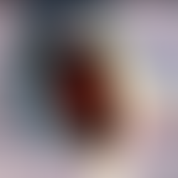 El gran placer de la insensibilidad: The Wall y su pronóstico acertado del aislamiento del hombre