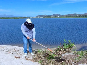 Acciones para la conservación del Estero josefino no se detienen; realiza Ecología una jornada más de limpieza