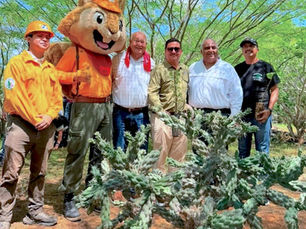 Se suma Ayuntamiento de Los Cabos a Jornada Nacional de Reforestación en Ejido El Rosario