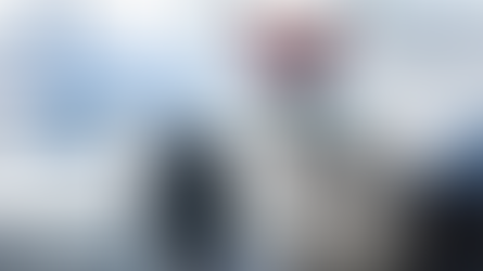 🐾 Viajar con tu mascota ya no es un lujo… ¡es una nueva forma de vida!