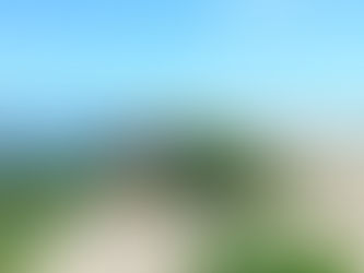 Arranca 2026 con jornadas de extracción de plantas invasoras en el Estero de San José del Cabo