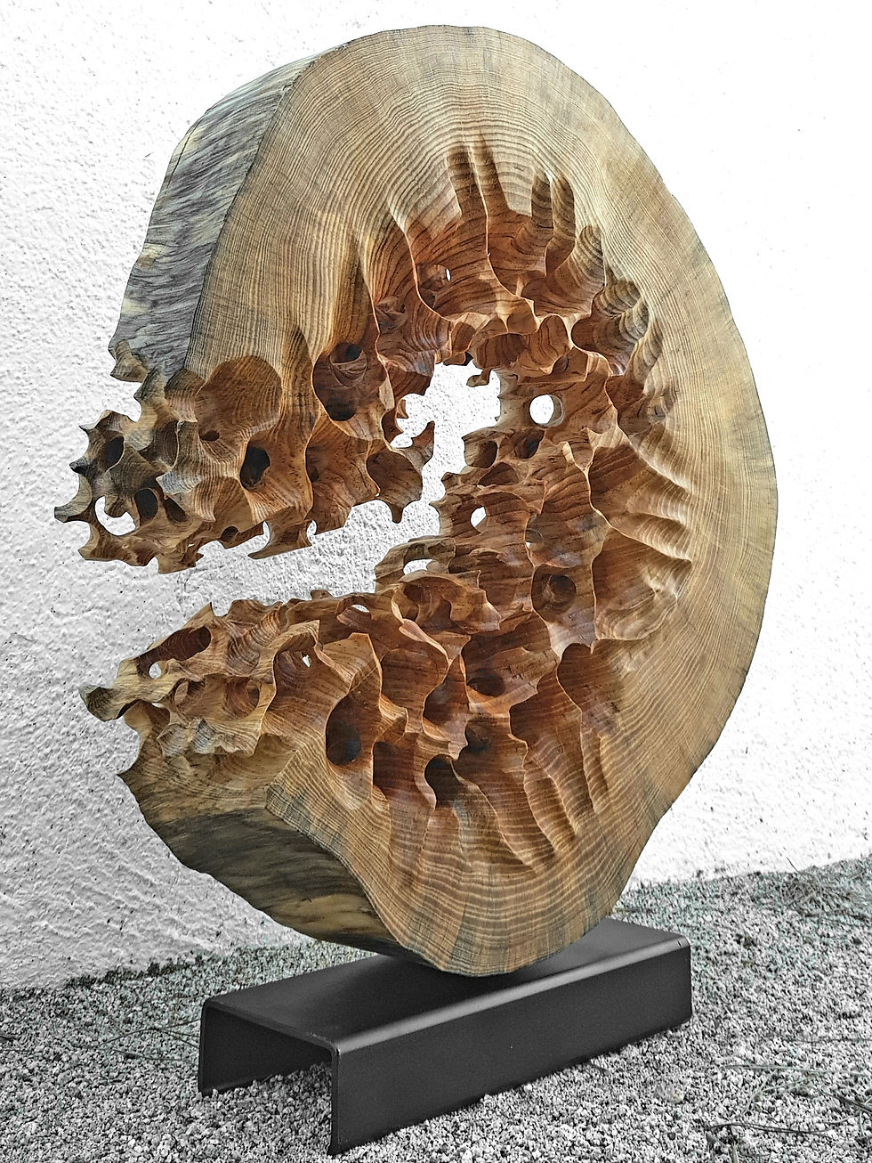 Erosió VII - Pere Baguena