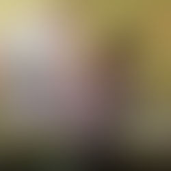 今週のたなくじです。