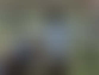  Range Clothing: Summer 