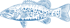 Bass_Blue_Website.png