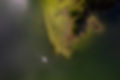 Pine Cliff Lodge - Sept 2023-329.jpg