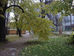 БУКЕТ ОСЕНИ