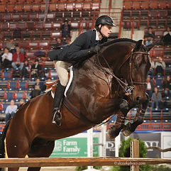 Holly Helbig at Hawthorne Hill Horse Riding Hunter Jumper Veterinarian Dublin OH Equine DVM