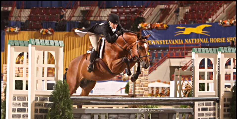 Holly Helbig at Hawthorne Hill Horse Riding Hunter Jumper Veterinarian Dublin OH Equine DVM
