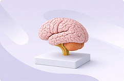 ChatGPT Image Feb 16, 2026, 10_26_02 AM.png