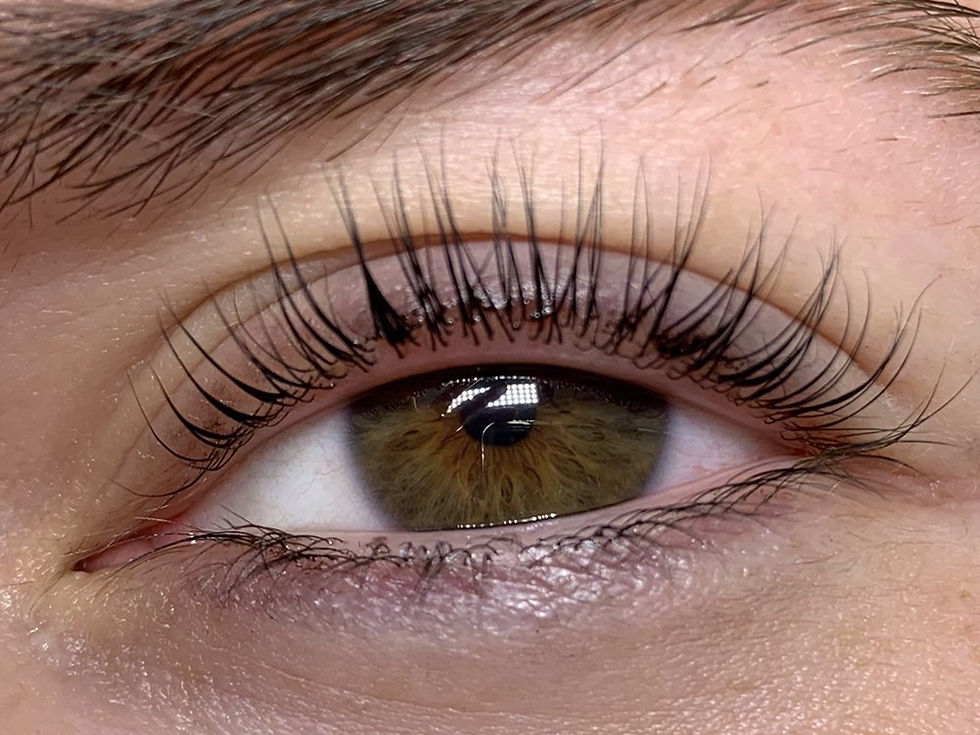 Lift & Tint Lashes