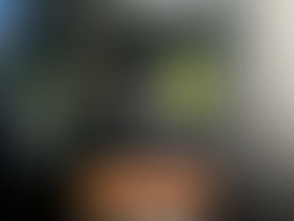 GNR deteta condução profissional ilegal na A1