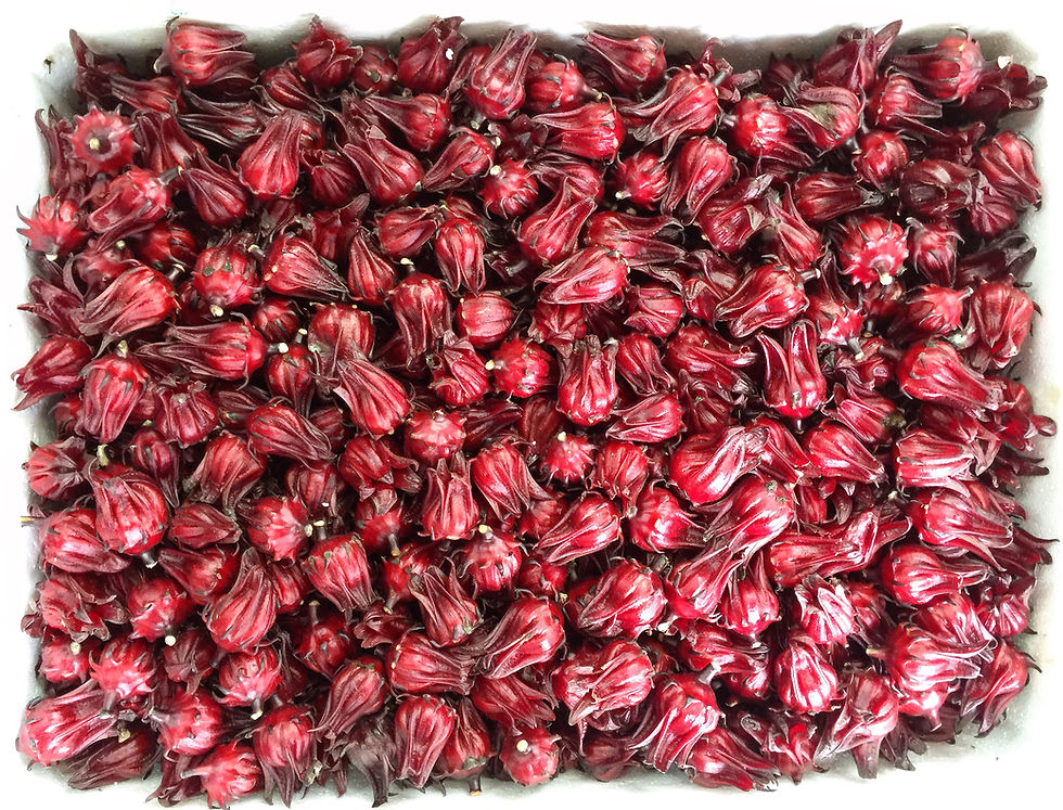 Roselle Hibiscus Tea