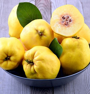bowl of quince.jpg