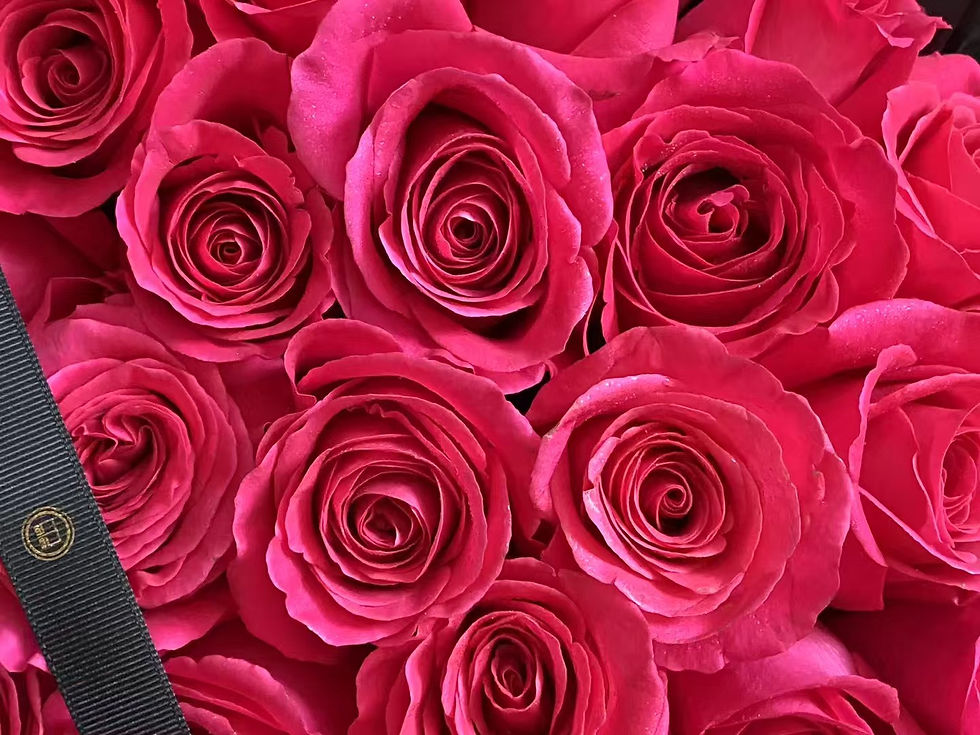 Thumbnail: THE MAGENTA POEM