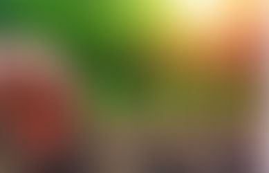 致巴城华人书 ： 重新播种