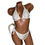 Thumbnail: Gold Gucci Bikini