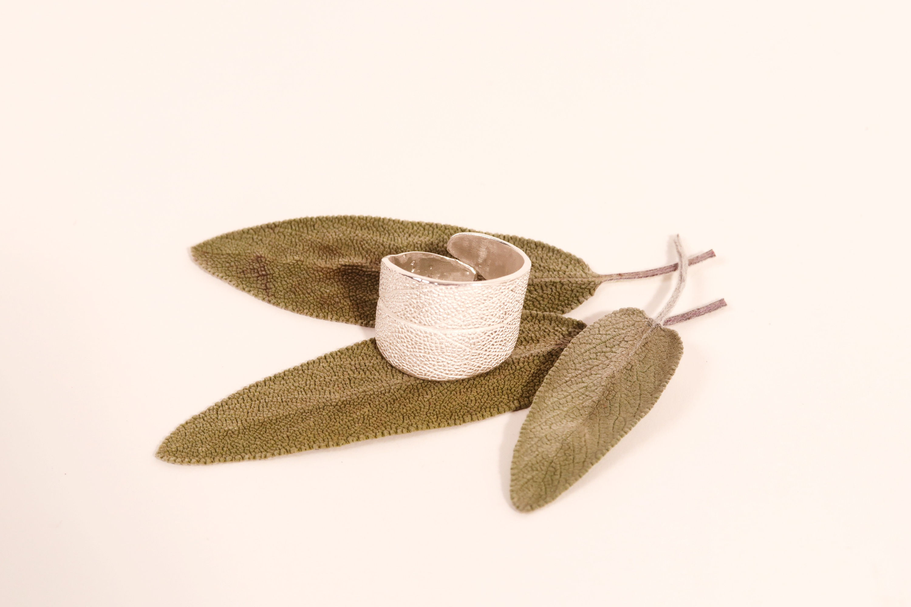 Salber Fingerring in Silber auf Salbeiblätter mit weissem Hintergrund