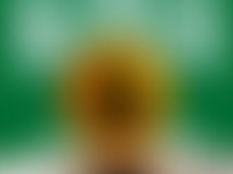 فهم تنظيم العملات المشفرة في المملكة العربية السعودية