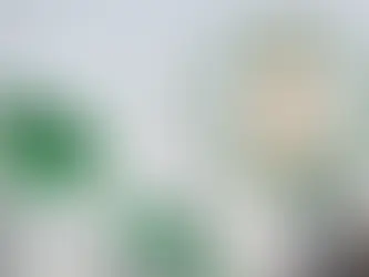 صندوق الاستثمارات العامة في المملكة العربية السعودية