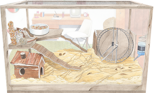 gerbil tank