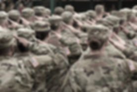 Muted Military Saluting.jpeg