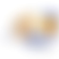 Best Practices in License Compliance for Software Assets