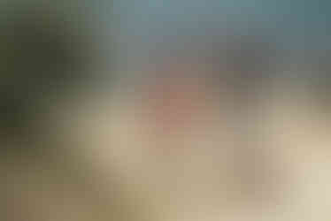 160629_PETITBATEAU_120_122_HD