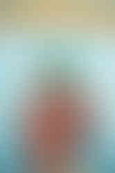 040_169 1 copy.jpg