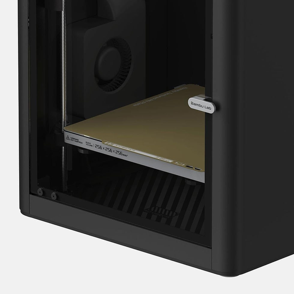 Miniatura: Bambu Lab P1S