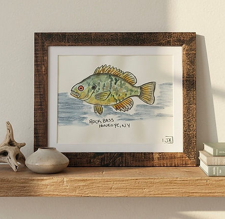 RockBass.jpg