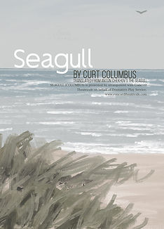 Seagull wall NO BANNER.JPG