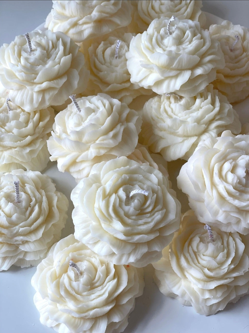 Thumbnail: Peony