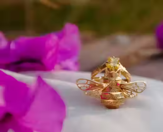 Miniatura: Anillo modular doble abeja