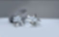 92687485_2579487978955671_2340965898845683712_n.jpg