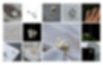 118517306_2696425047261963_9100729503313719523_n.jpg