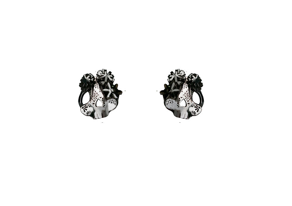 Aretes Catrina