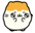 giphy (28).gif