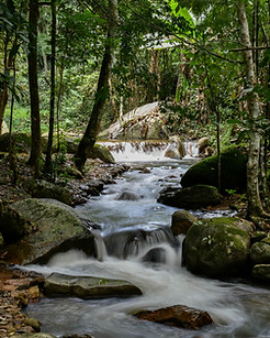 Over 500 meters of natural stream running alongside every room type.